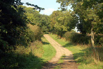 Sandye Lane looking north September 2008